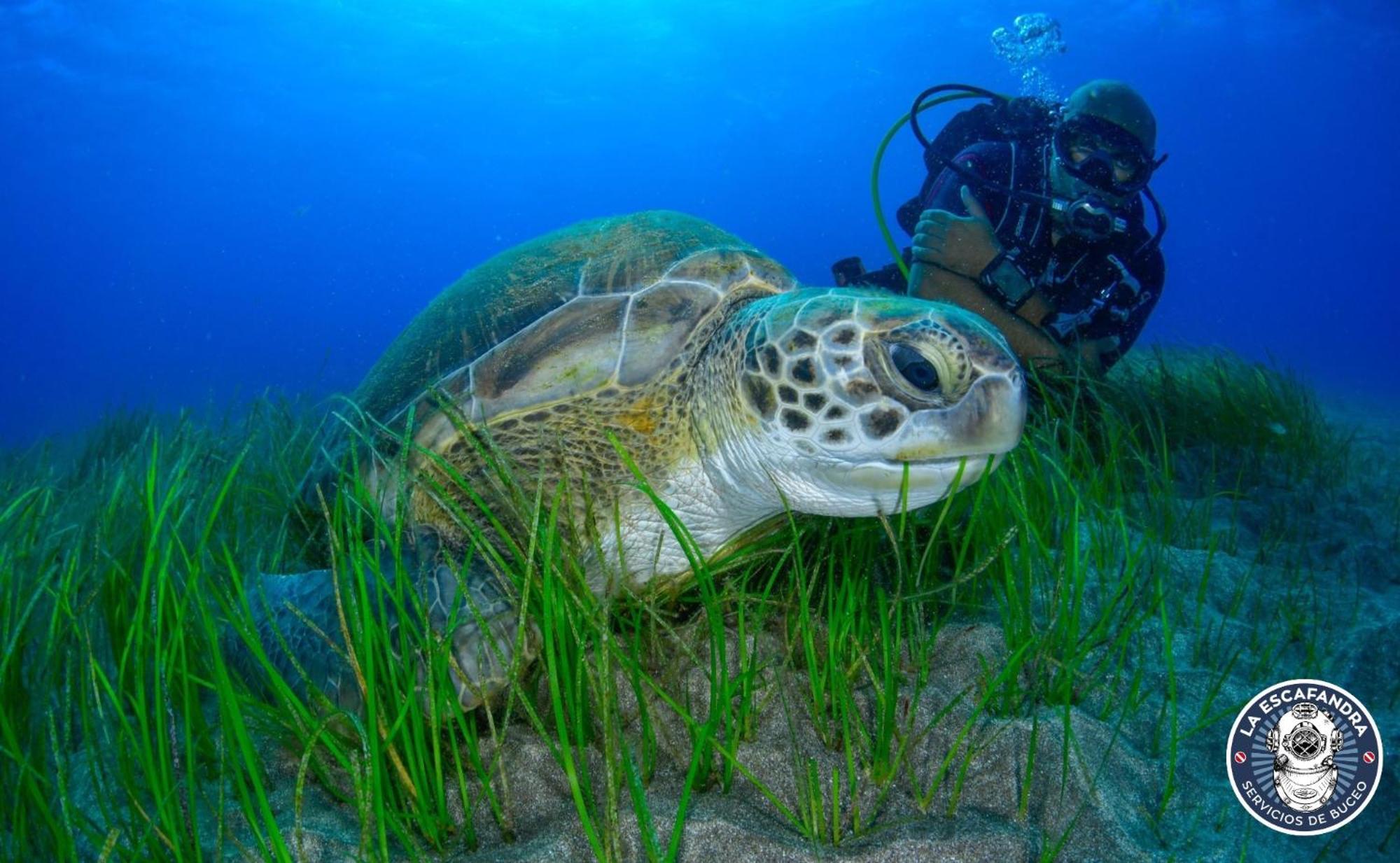 219 Las Eras On The Sea Εξωτερικό φωτογραφία